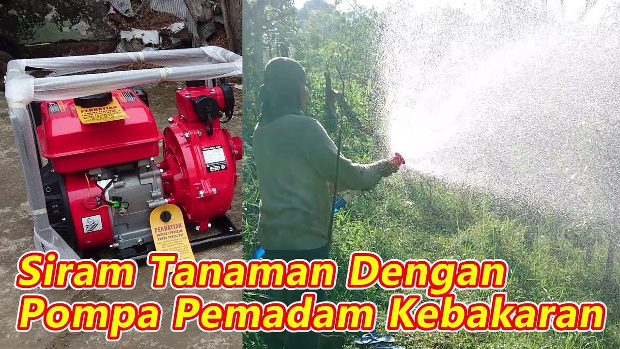 Menyiram Tanaman Menggunakan Pompa Pemadam Kebakaran Pro-Quip QFP200