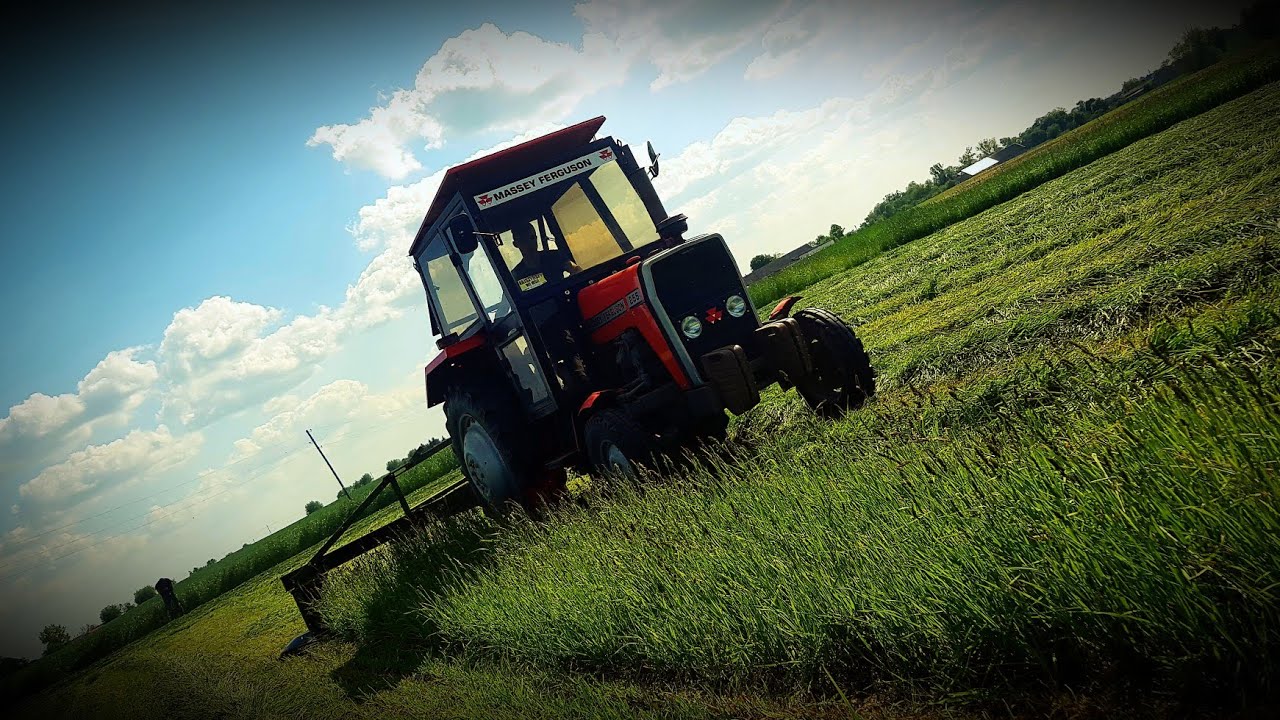 🍀Cięcie trawy 2020 🍀 🔥// MASSEY-FERGUSON 255 \\   w polu 🔥