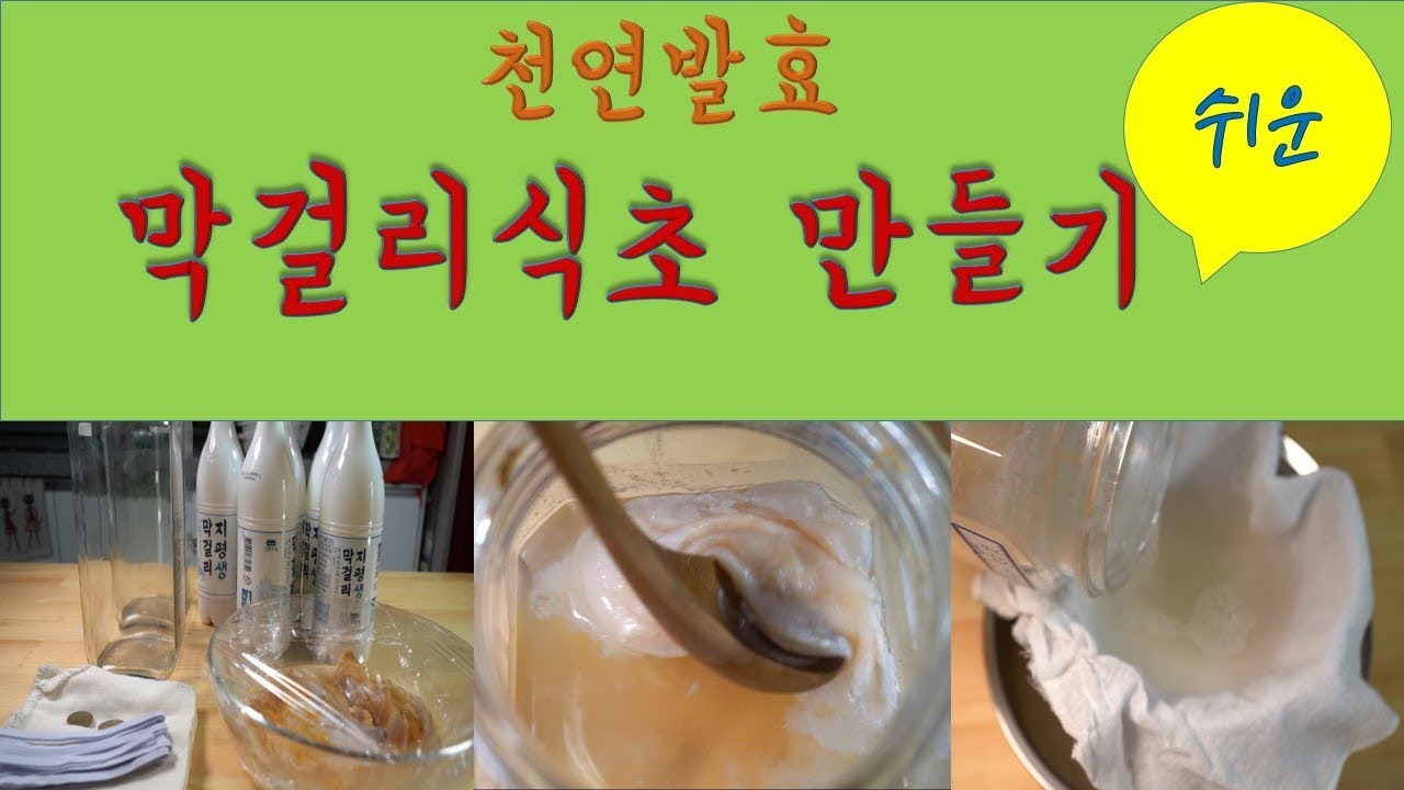 천연발효 막걸리식초 만드는법-산도깨비의 열두달 발효일기