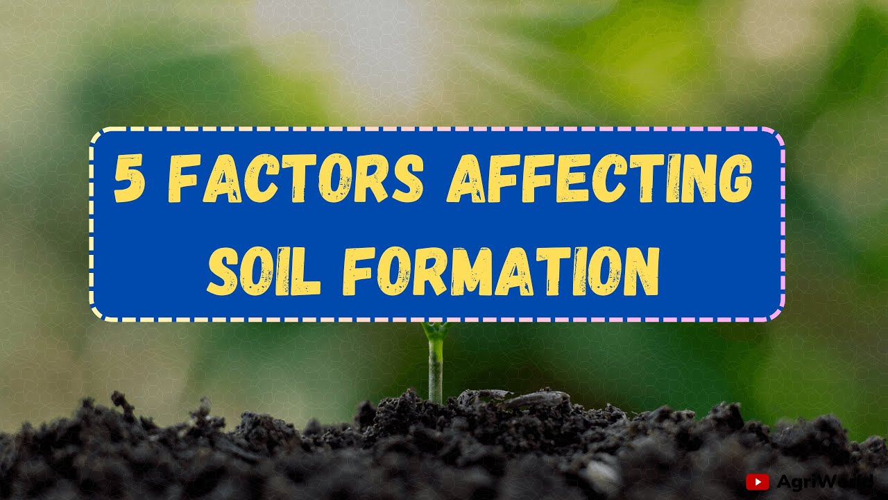 5 Factors Affecting Soil Formation | Soil Forming Factors