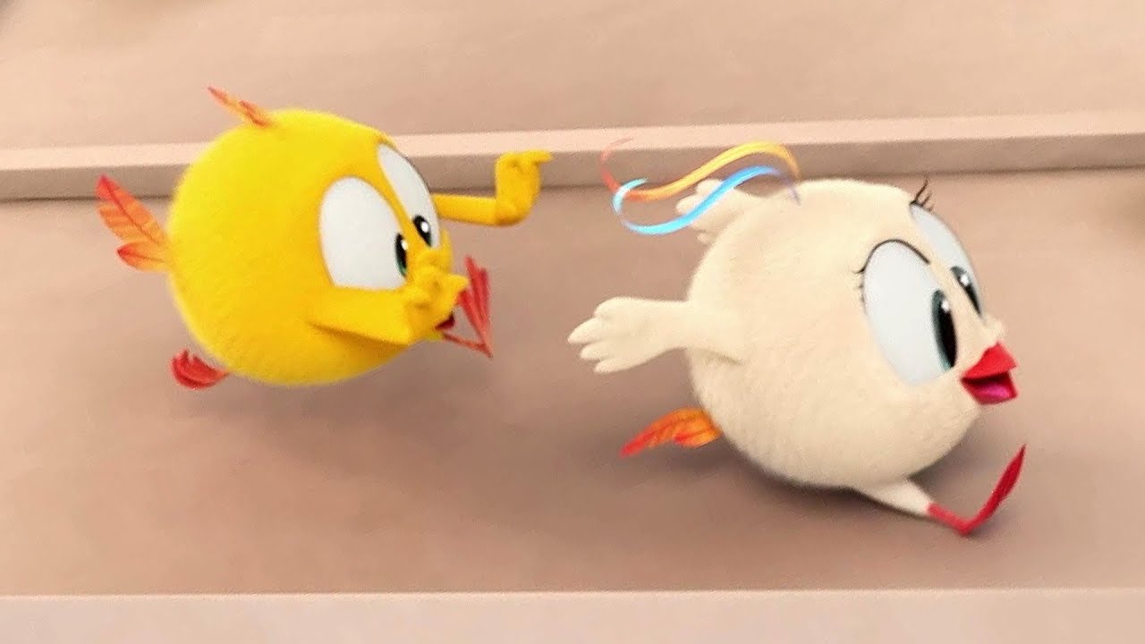 O pique-pega | Onde está Chicky? | Pintinha amarelinho | Coleção desenhos animados Infantil | HD