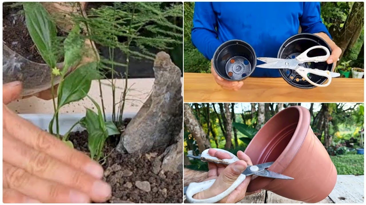 3 прекрасные идеи пластиковых горшков для кактусов и суккулентов и других - DIY вдохновляющий