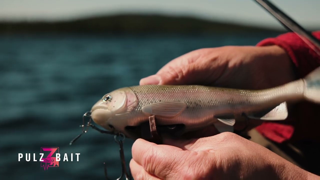 How to - Activate your Pulz Bait Engine
