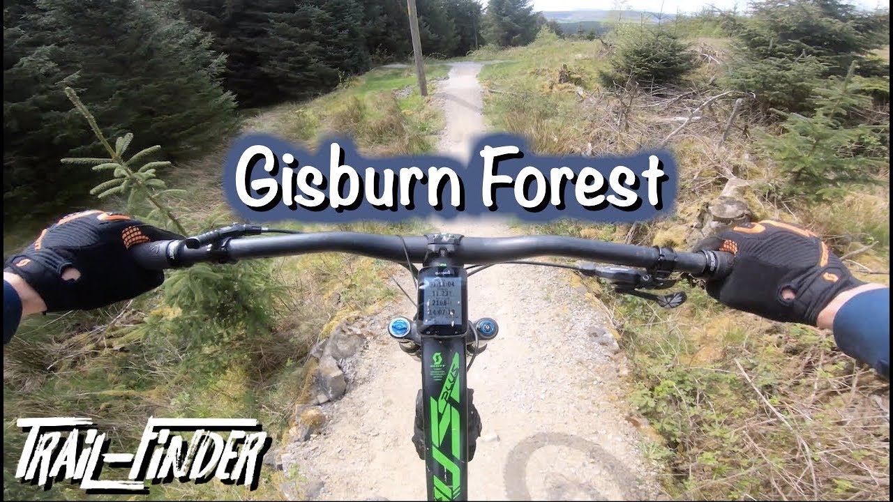 Trail Centre MTB в Гисберн-Форест