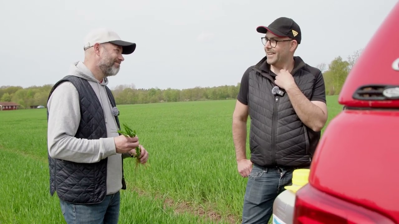 Revytrex och Comet Pro i höstkornet hos Farmac.