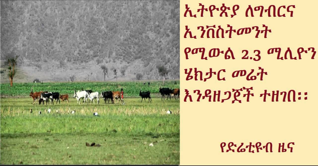 DireTube News - Ethiopia To Make Available 2.3 Million Hectares of Land For Investors