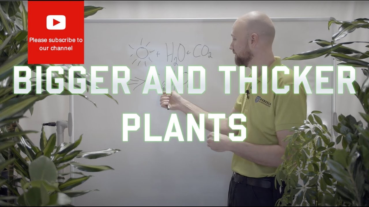 How to grow your plants bigger and thicker