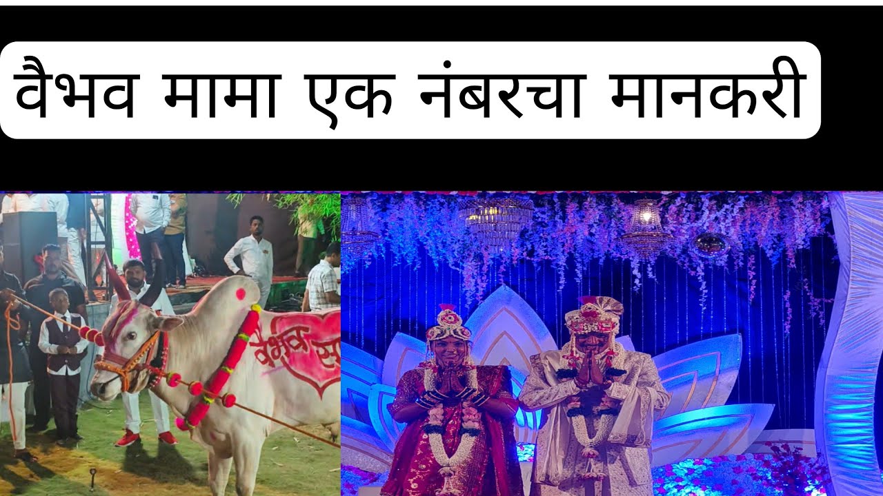 वैभव मामा एक  नंबर चे मानकरी
