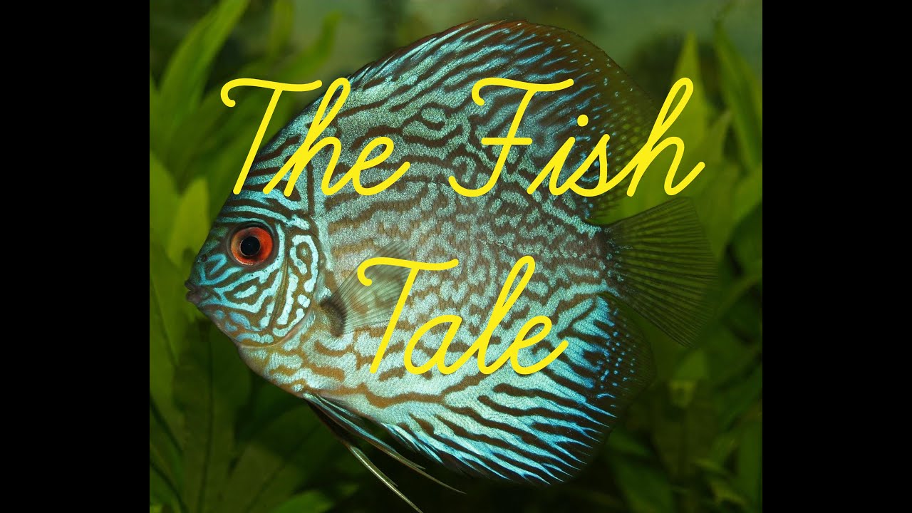 Math Magic Chapter-1 The Fish Tale (Full Chapter) with questions & answers