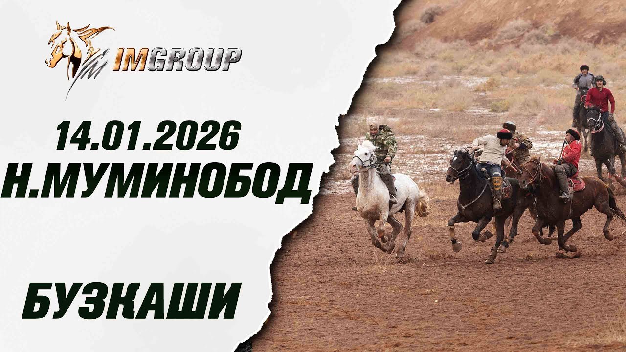 Бузкаши 14.01.2026  н.Муминобод