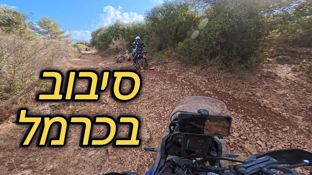 סיבוב בכרמל