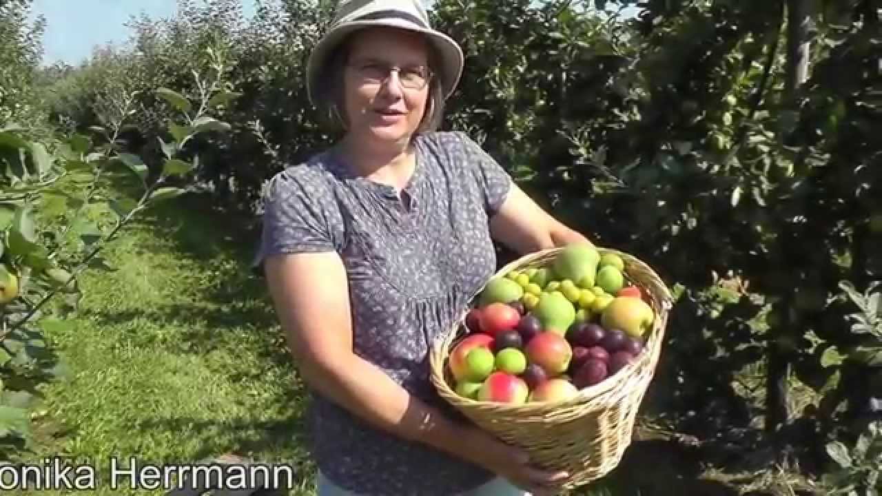Erntefest 2014, Erntek&ouml;nigin Monika III.(Herrmann)
