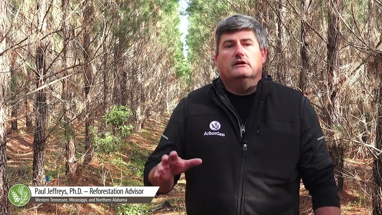 Paul Jeffreys - Fewer Trees Per Acre with Higher Genetics
