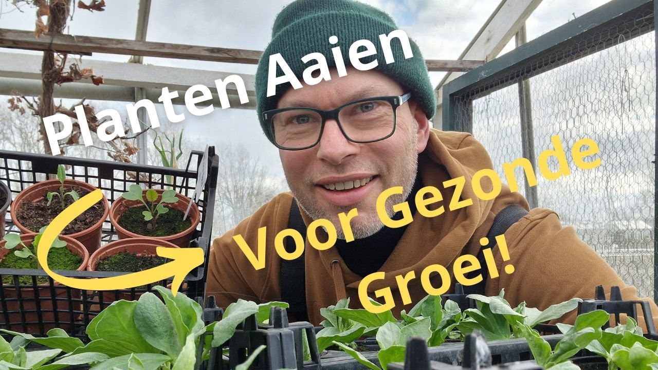 Moestuin Tip: Planten en Gezonde Groei! Peulen en Cappucijners zaaien