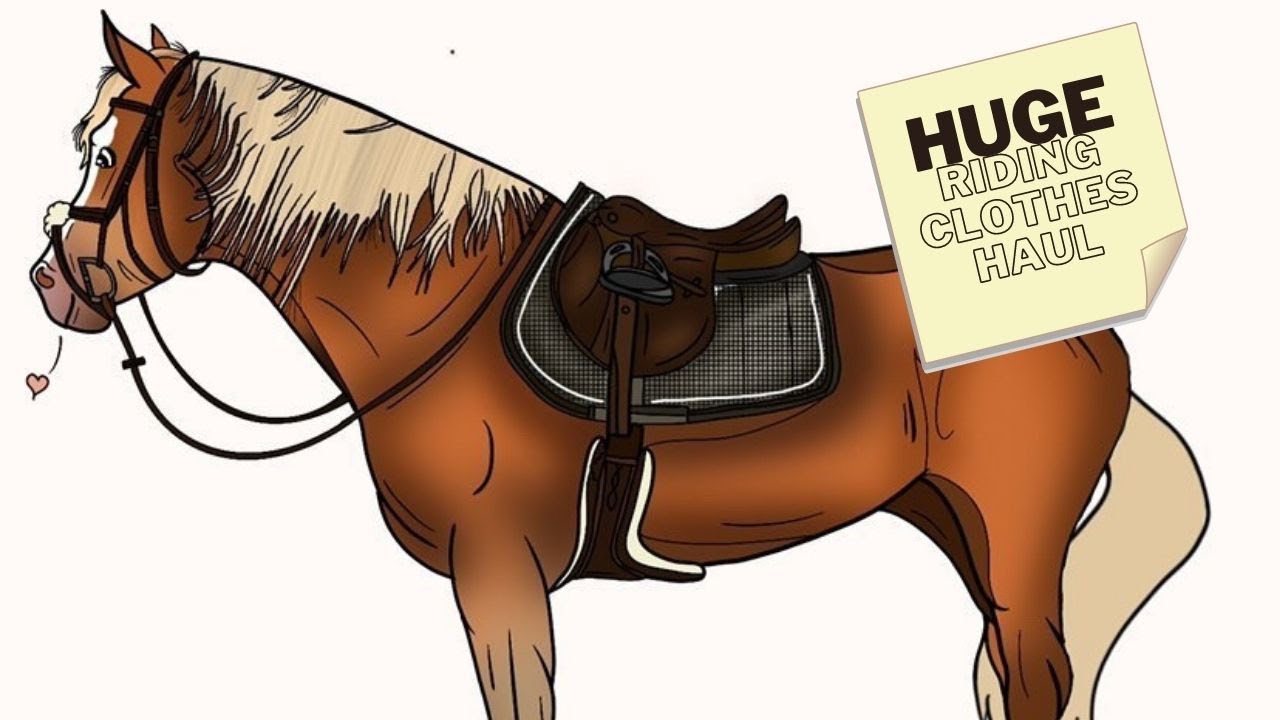 HUGE Riding Clothes Haul // Equestrian Haul // MAYA DELOREZ // HORZE // HÖÖKS // Horseplay Apparel