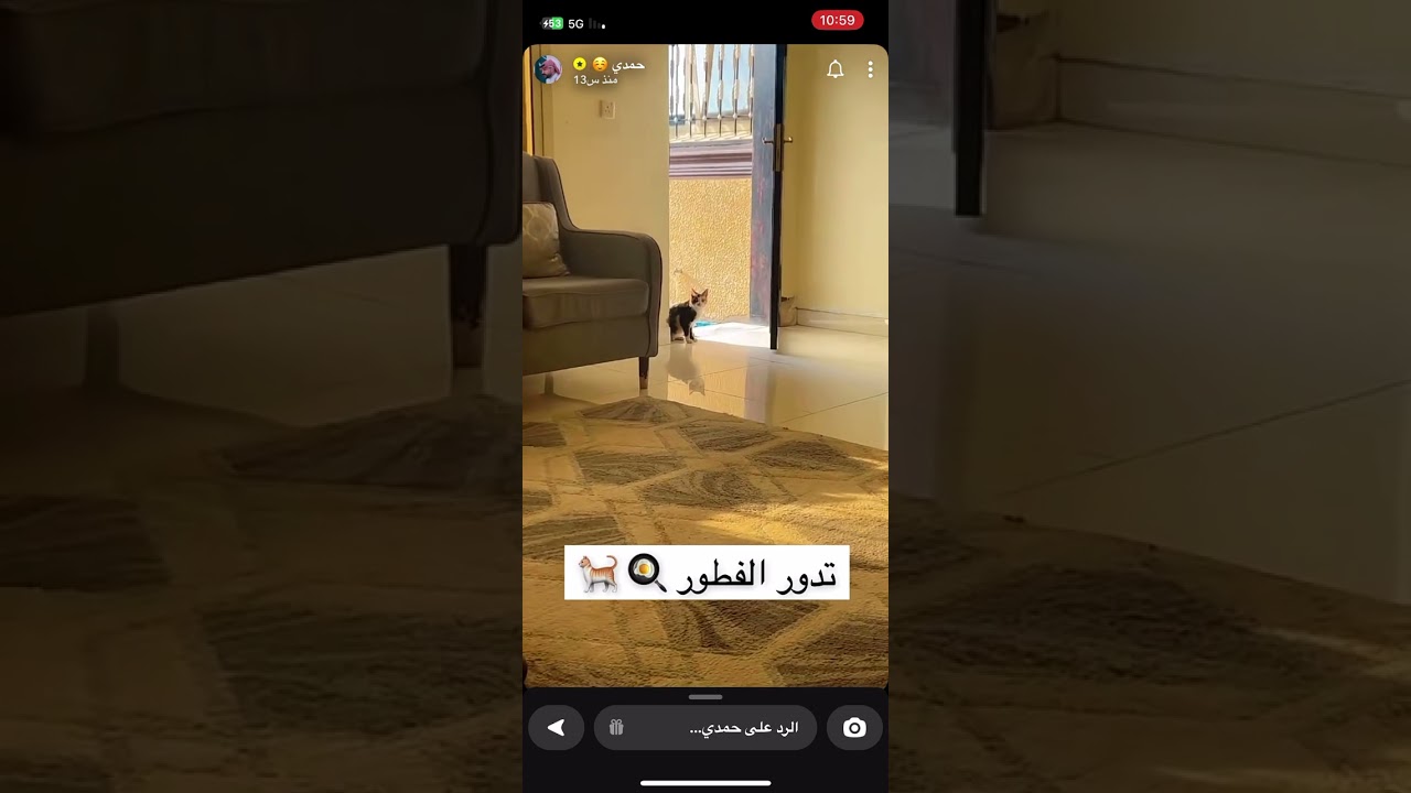 حمدي وامه تبي معزاء من الكويت😂وسوالف عند جده. حمدي الفريدي