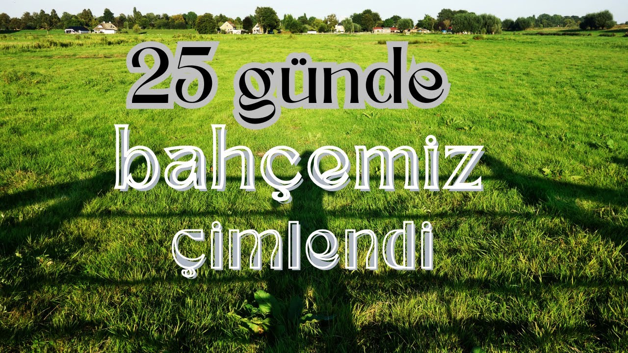 Bahçeyi çimlemek bu kadar kolay olmamalı, 25 günde biçilecek boyuta gelen çimleme sonucu #çim #bahçe