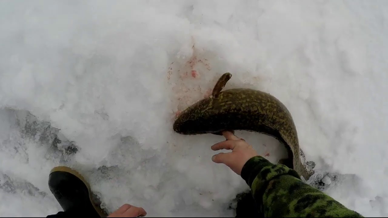 Ice fishing Lake Simcoe 2021