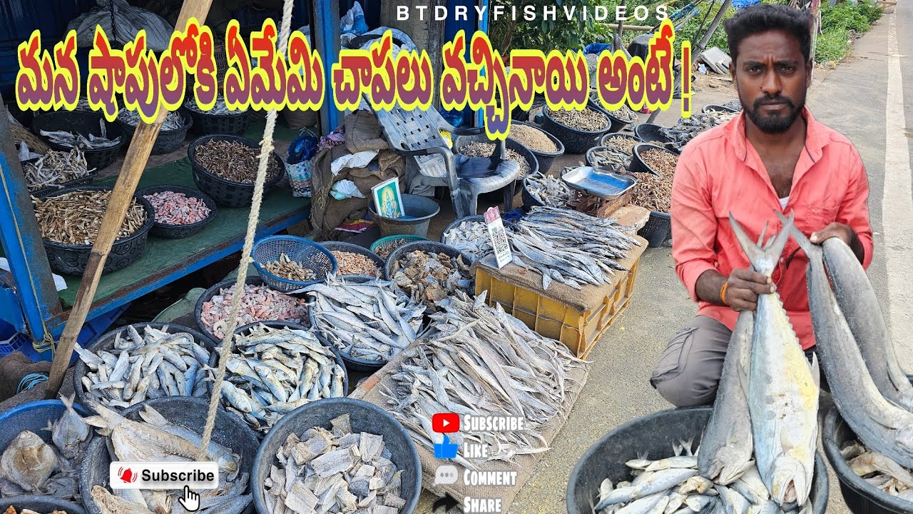 ఇవాలా మన షాప్ లోకి ఎమి చాపలు వచ్చినాయి అంటే #penumudi #dryfish #dryprawns #cutting videos #floods 