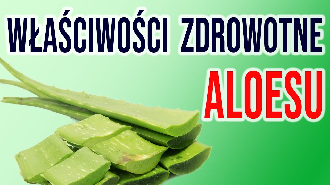 🍀 ALOES - właściwości LECZNICZE i zastosowanie. Jak wybrać sok z Aloe Vera?