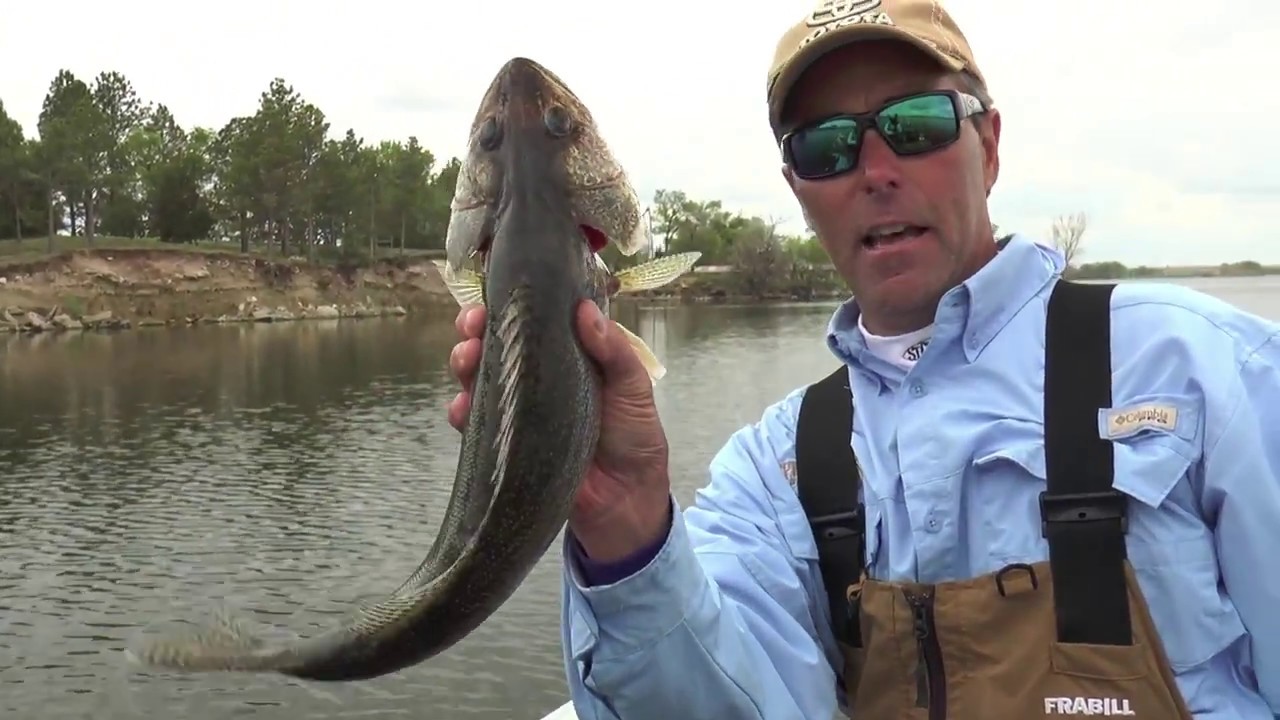 Snap jigging...a must have technique! (fishing tips)