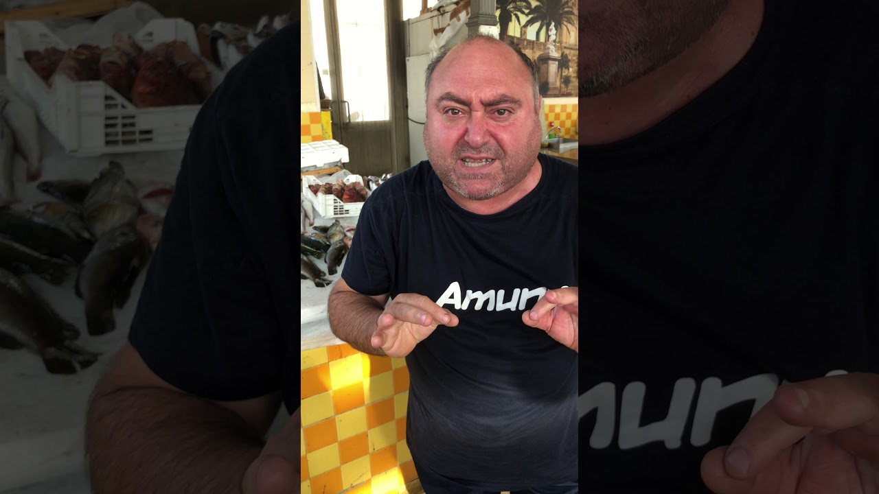 PALAMITO ALLA MARINA - IL SIGNOR FANS