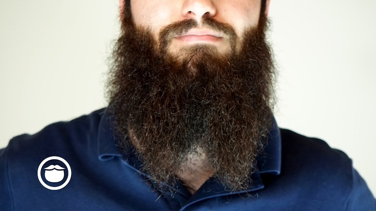 A Guide to Forked Beards (Beards That Split in the Middle) | YEARD WEEK 44