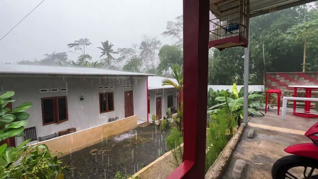 Calming Rain Sounds | Peaceful Rain Noise for Stress Relief & Sleep