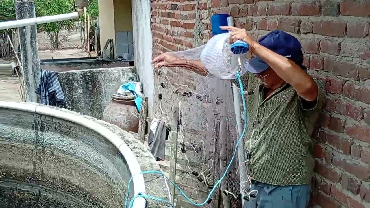 Seu roque mostrando a côr da água que está vindo do berssario 