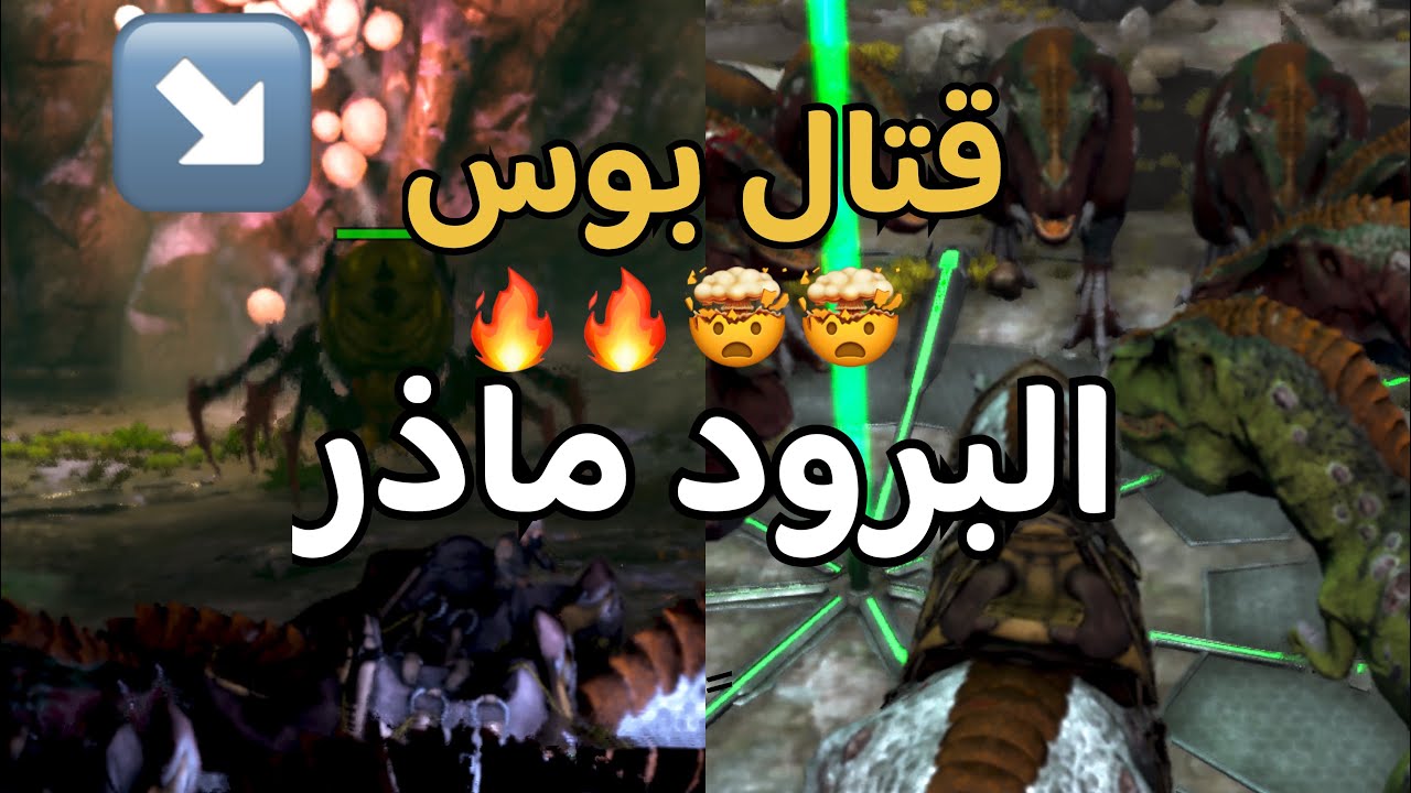 ارك موبايل 📱 البداية | قتال بوس البرود ماذر 🔥🤯 | الحلقه #8