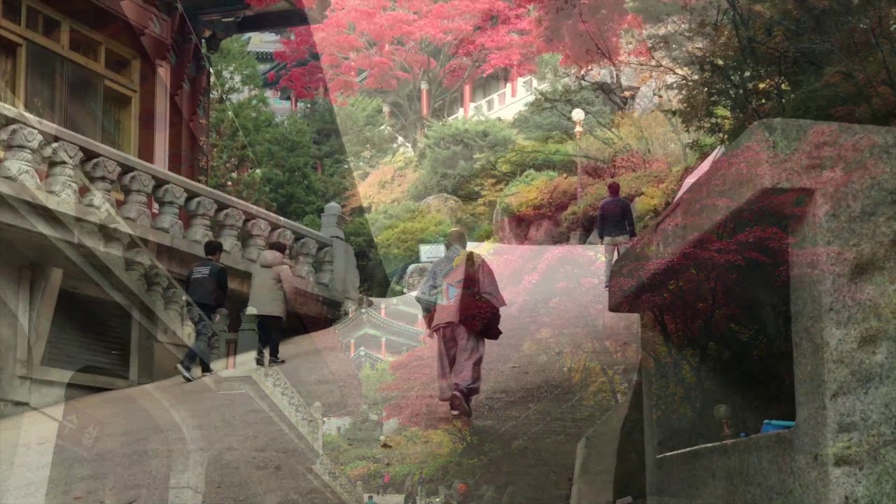 Fall in Korea - A visit to Danyang and Guinsa Temple