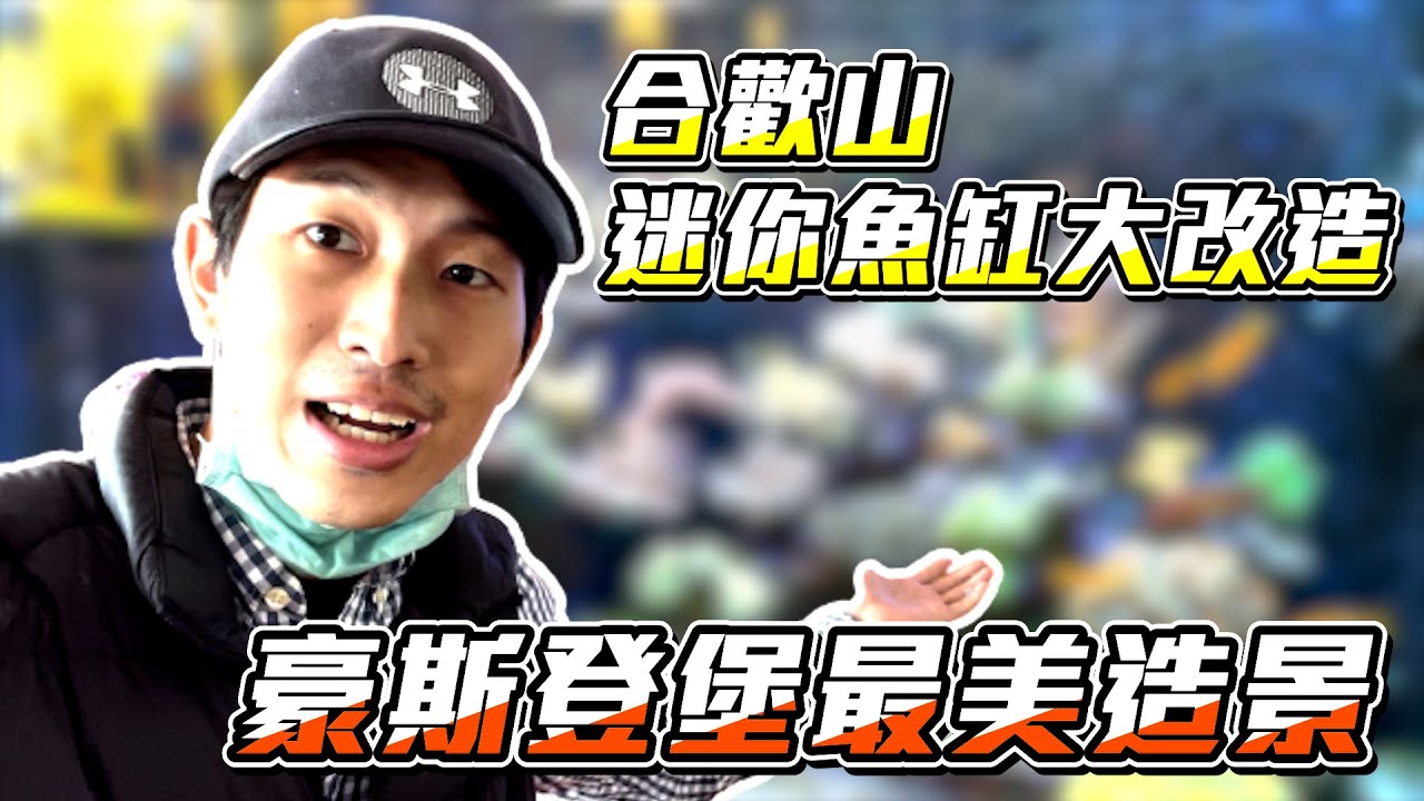【藍箱水族】來去魚友家→合歡山上迷你缸＋豪斯登堡最美魚缸再訪！南投山上的海水缸～!
