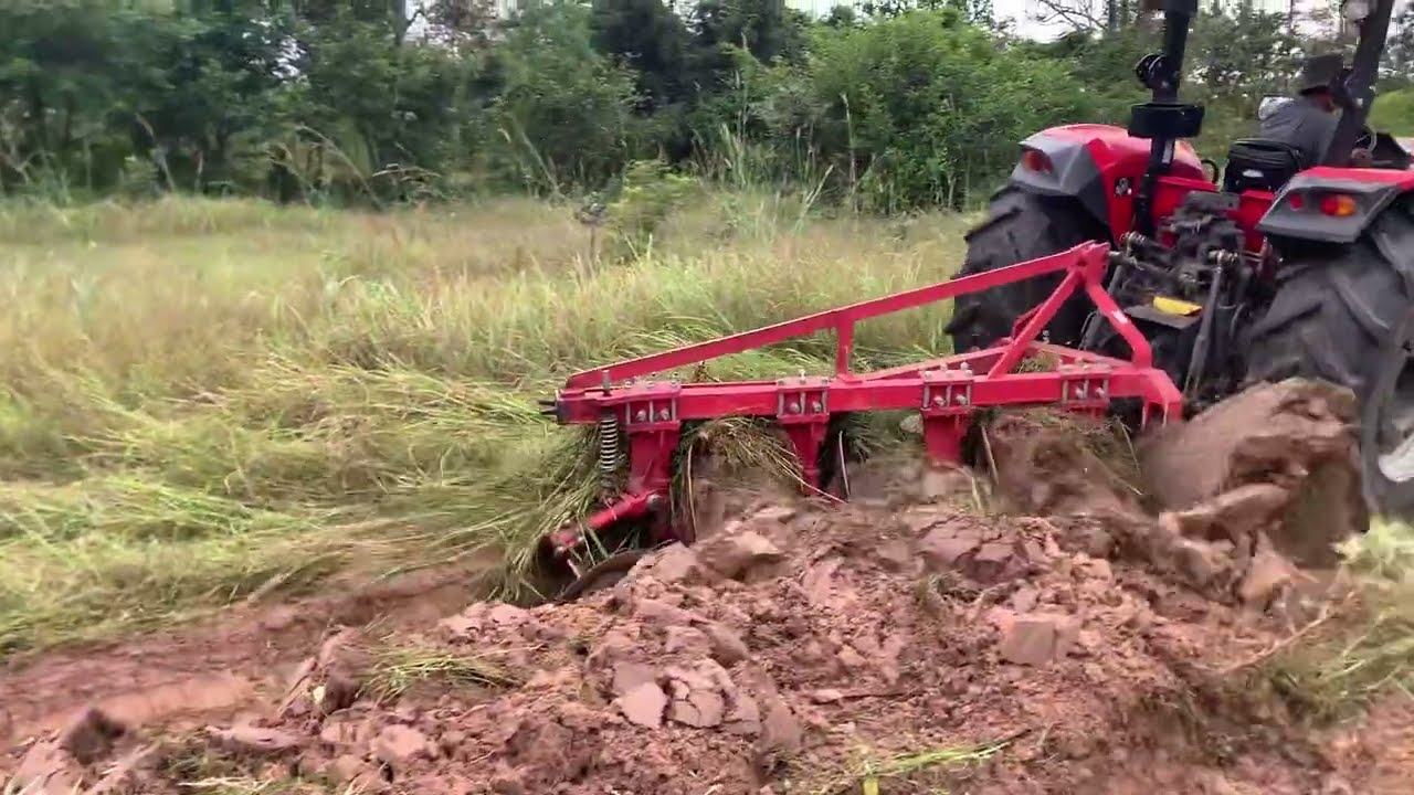 แมสซี่เฟอร์กูสัน4708 ไถผาน4ลุยหล่ม งานนี้ไม่ไหว🚜