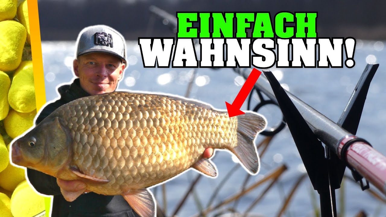 Was für ein DICKMANN! Fast den deutschen Rekord gefangen! Friedfisch Angeln