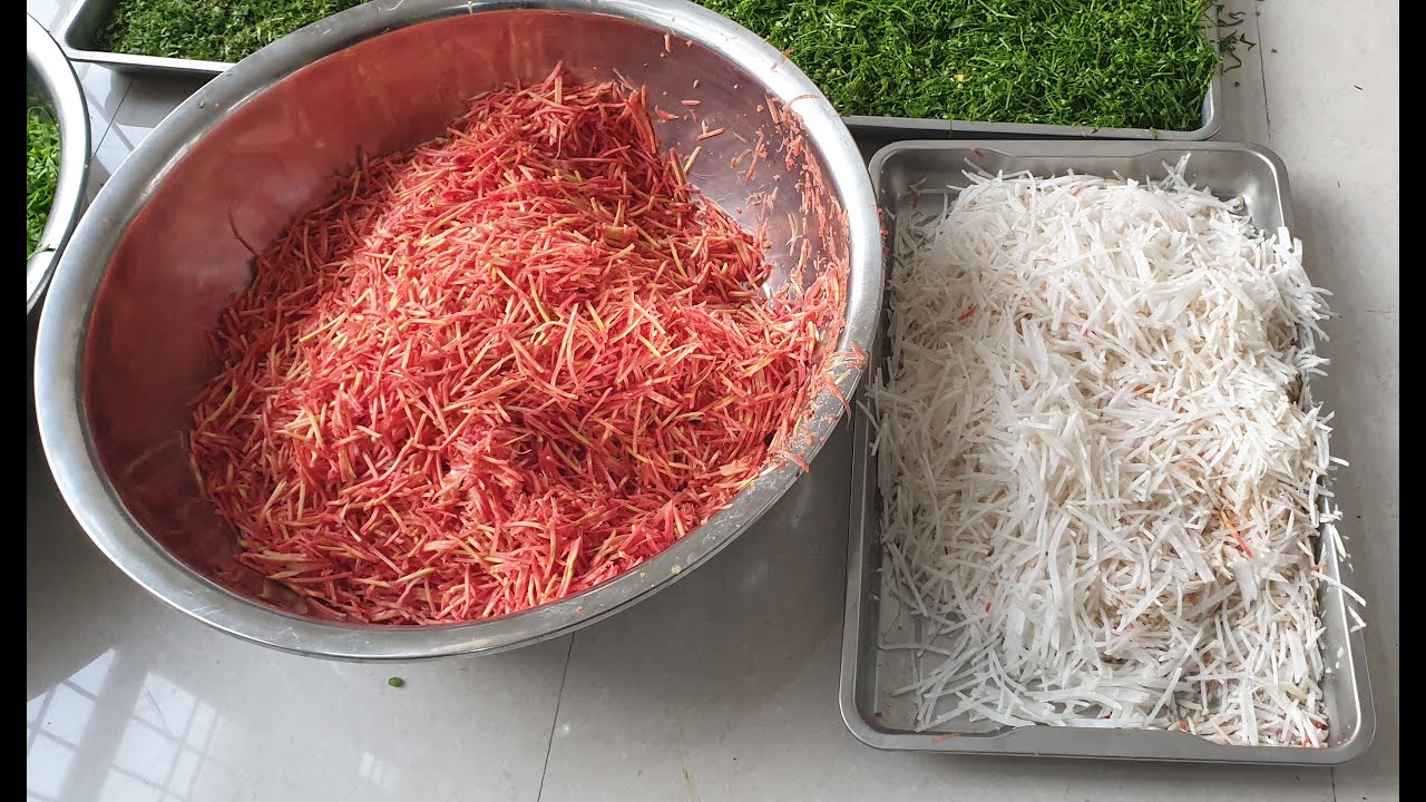 Root Vegetable Shredding Machine | Vegetable Cutting Machine | Root Vegetable cutting machine