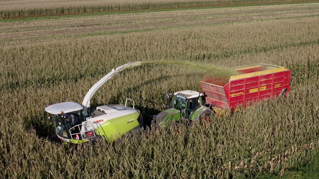 De West in de mais🌽 | Claas Jaguar 940 | Fendt 724 + 722 + 415 | Volvo L70F