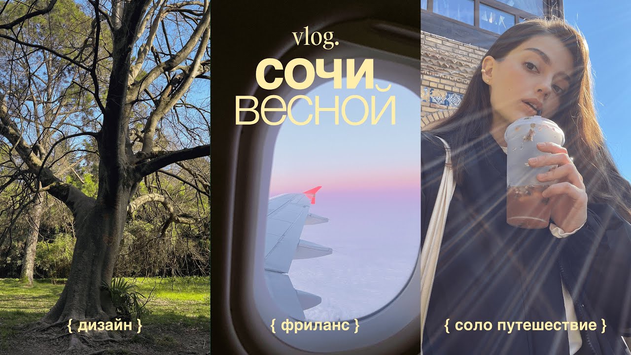 влог: сочи { дизайн | фриланс | соло путешествие }