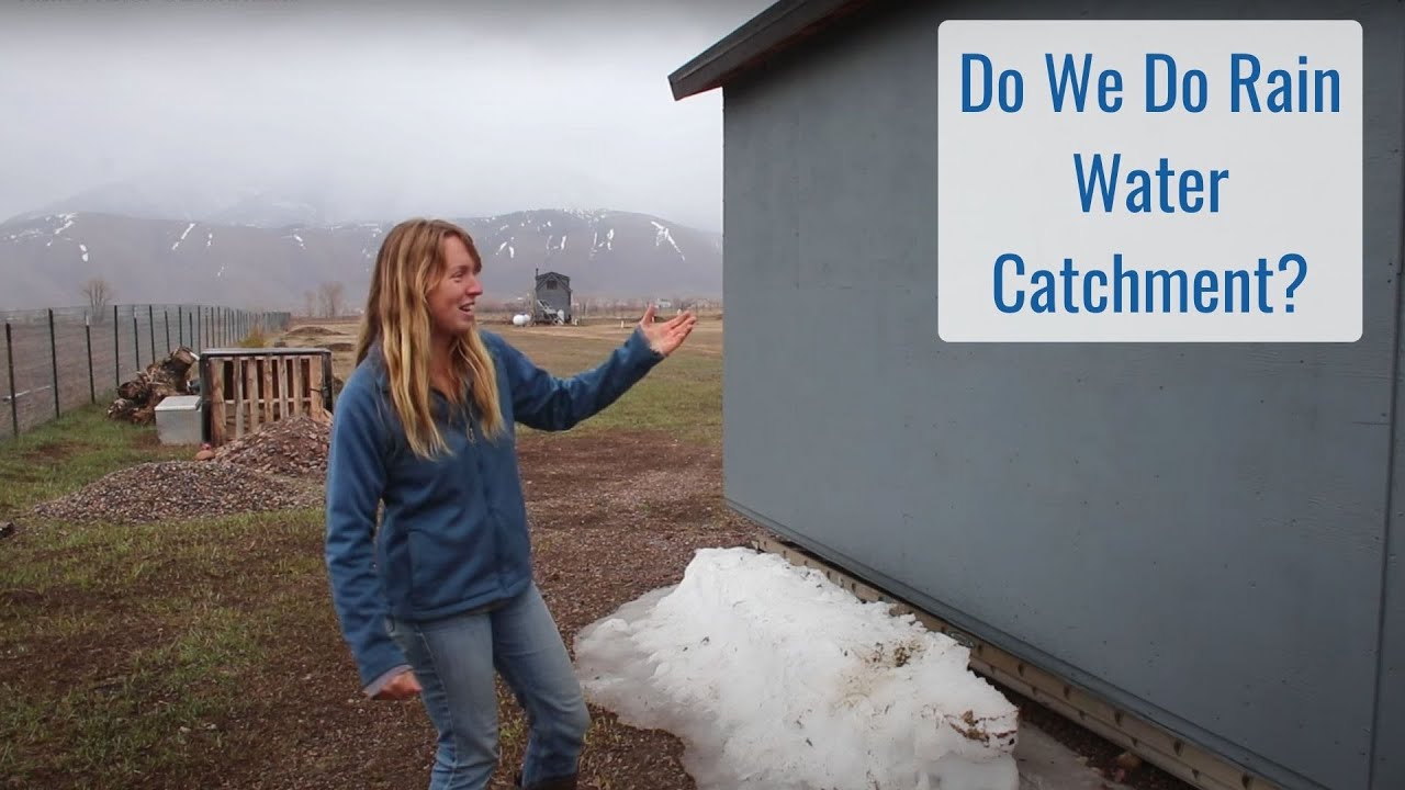Rain Water Catchment, Swales, Runoff, How do we Handle Water on Our Homestead?