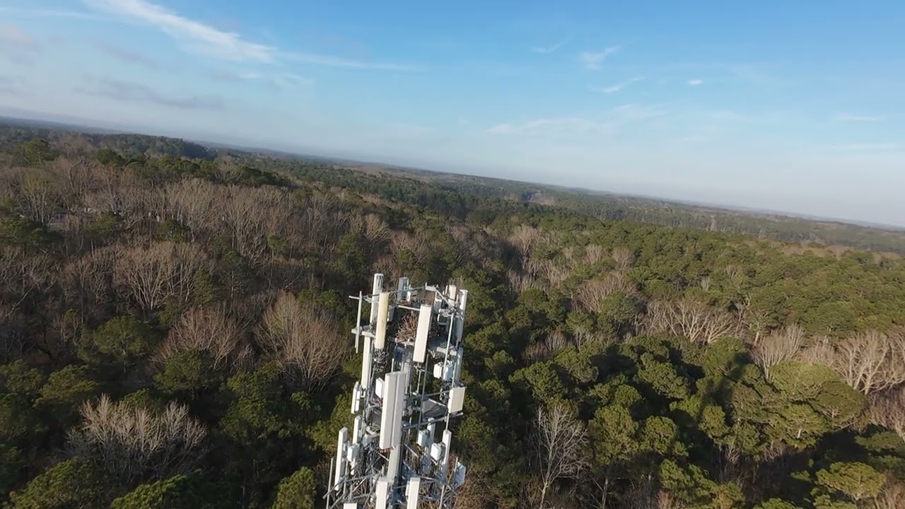 quick view of the nest