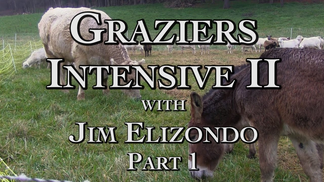 Graziers Intensive II Part 1