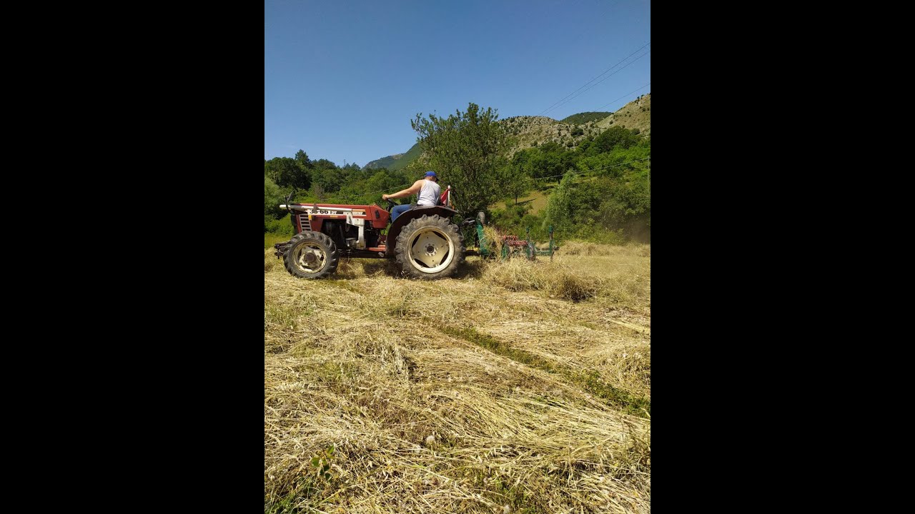 ||FIENAGIONE 2020|| CAB VIEW Ranghinatura FIAT 35-66 DT