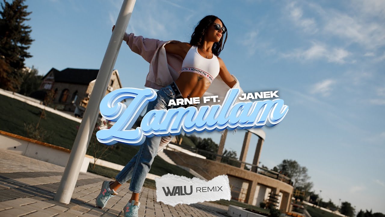 ARNE ft. JANEK - ZAMULAM (DJ WALU 2026 REMIX) #VIXA