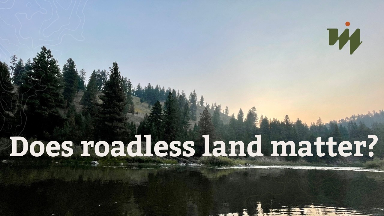 Why the Roadless Rule Still Matters | Sarah Francisco on Southern Appalachian Forests