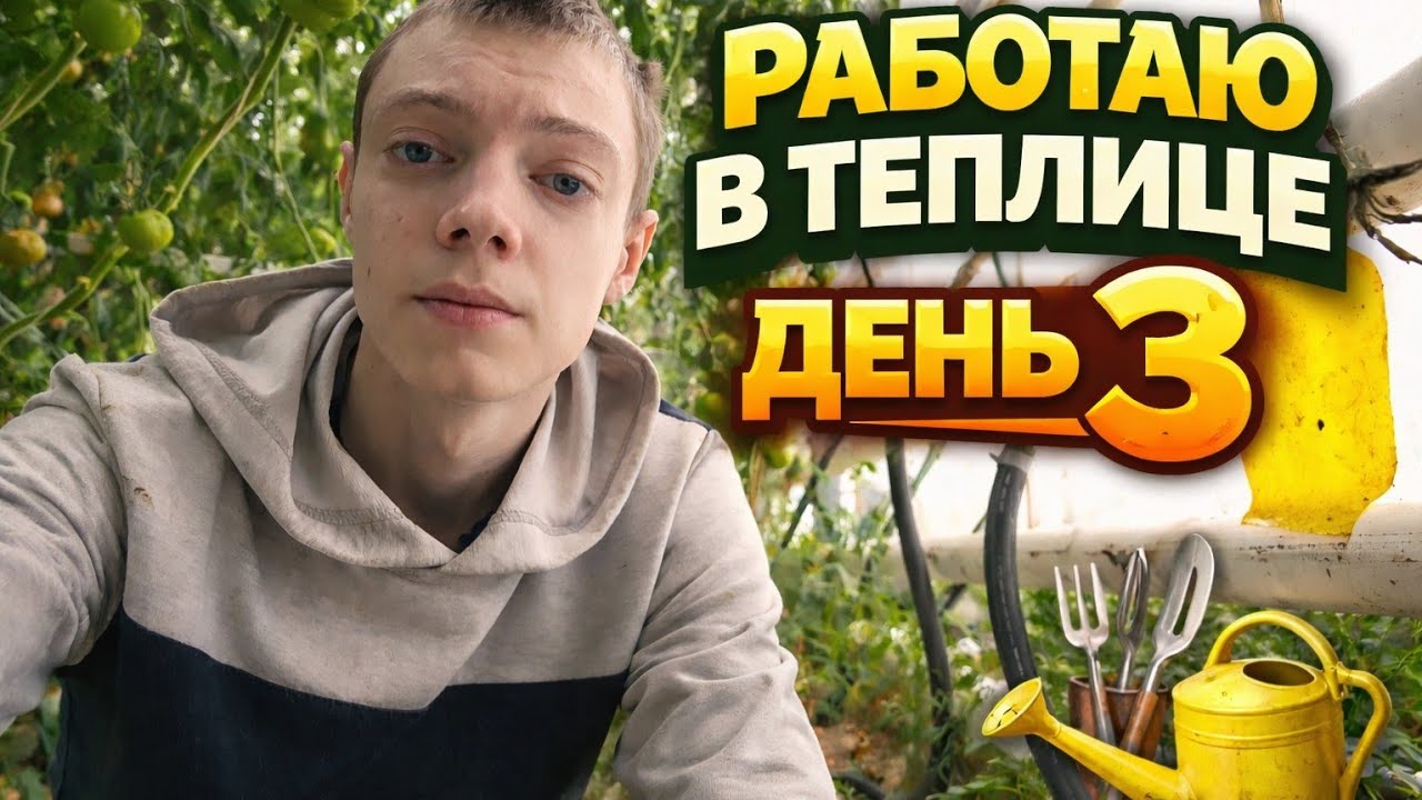 3 ДЕНЬ РАБОТЫ В ТЕПЛИЦЕ — Я НЕ ОЖИДАЛ ЭТОГО