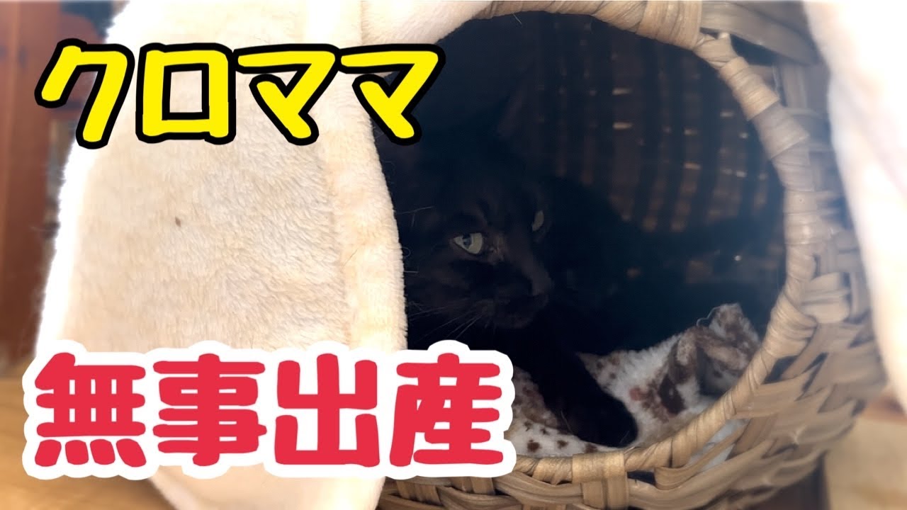 今朝、無事に出産！赤ちゃんのかわいい鳴き声に一安心