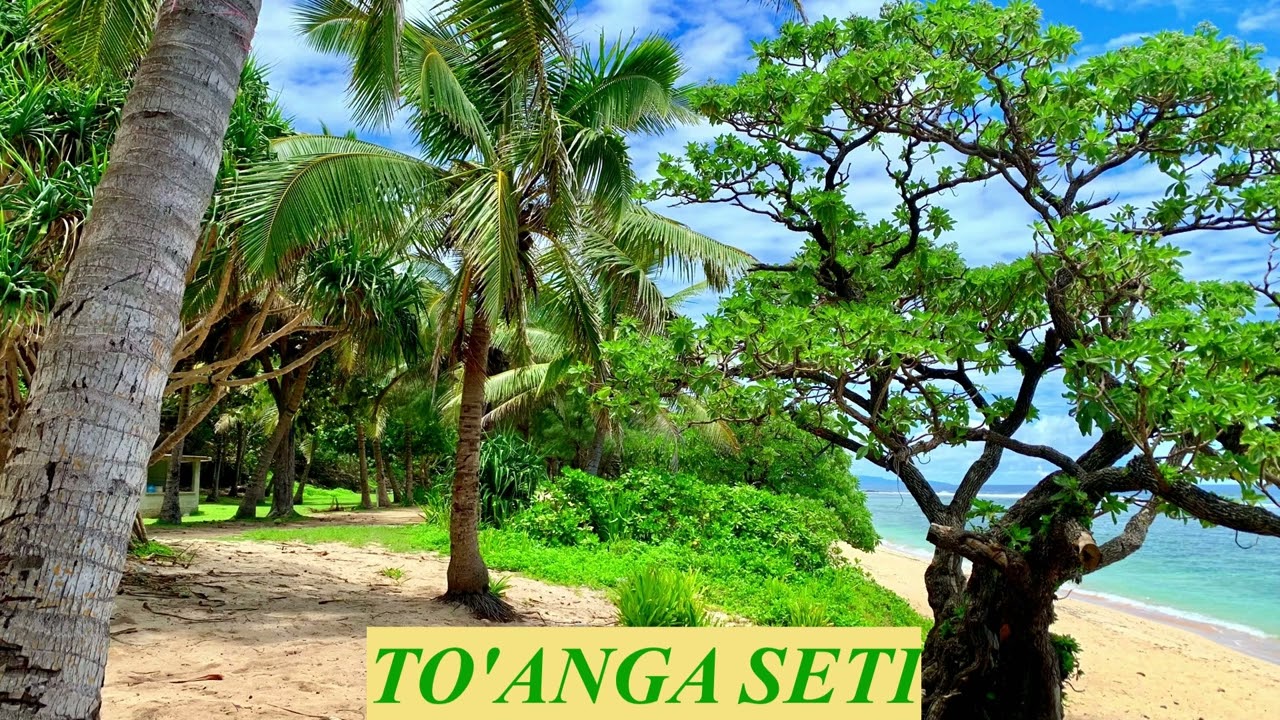 TO'ANGA SETI - PALOLO