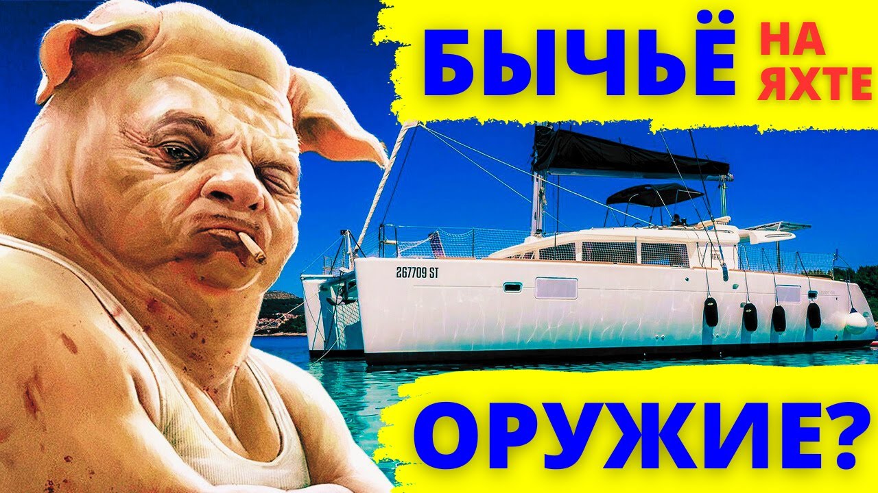Быкота залезла на катамаран. Злоумышленники и Оружие на яхте | Яхтенные будни