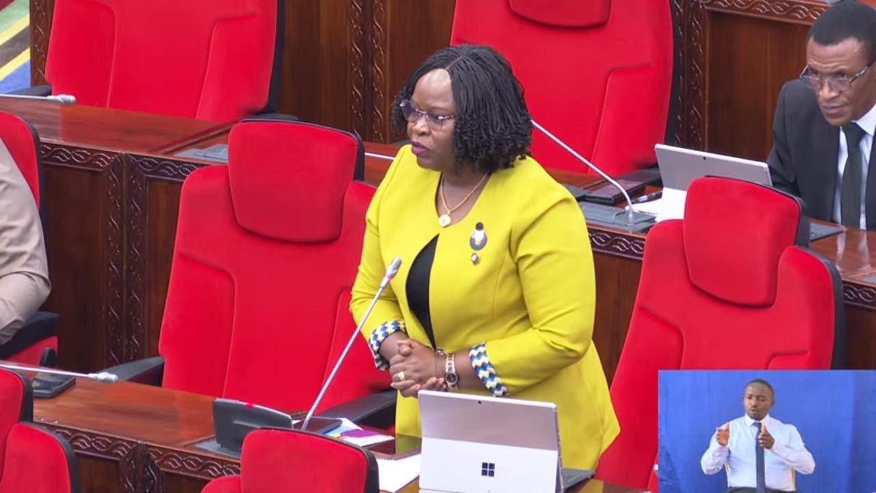 🔴 LIVE now ; WABUNGE WAIBANA SERIKALI, BUNGE LA KUMI NA TATU, MKUTANO WA PILI, KIKAO CHA NNE,