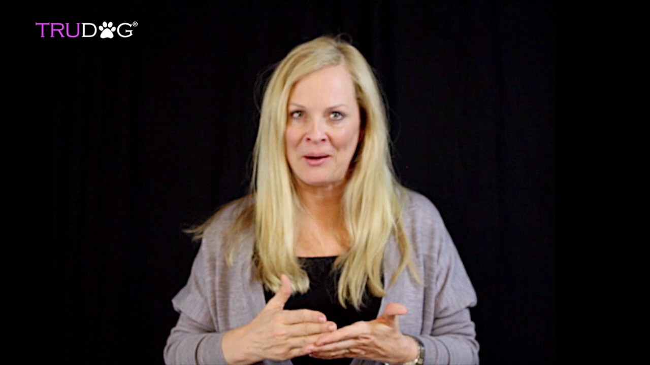 Founder Lori Taylor Welcomes you to TruDog