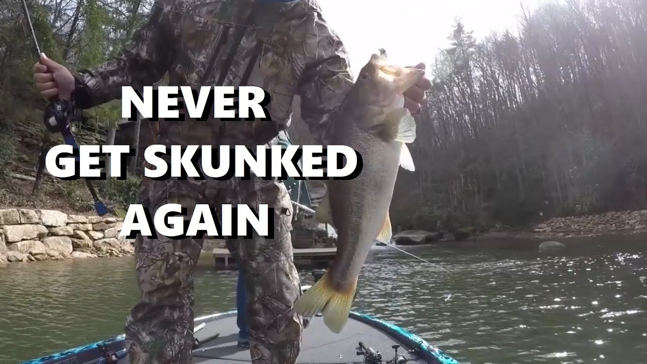Best Lures for Pressured Bass! They Can't Get Conditioned to These Baits!